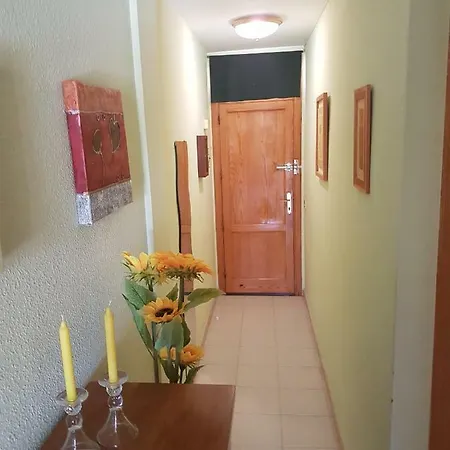 El Halcon Apart Apartment